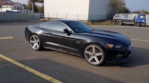 Tónování autoskel